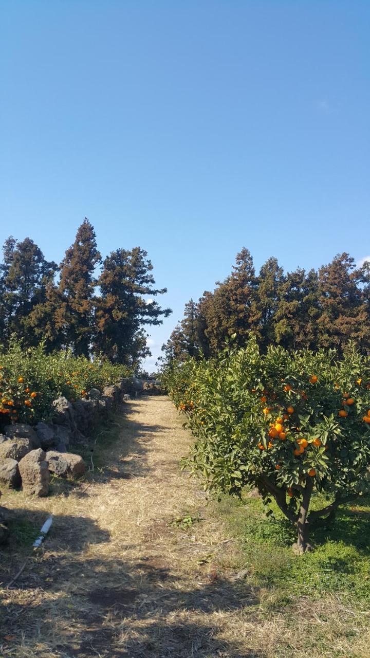 Jeju Mermuri Jeljedong Kültér fotó