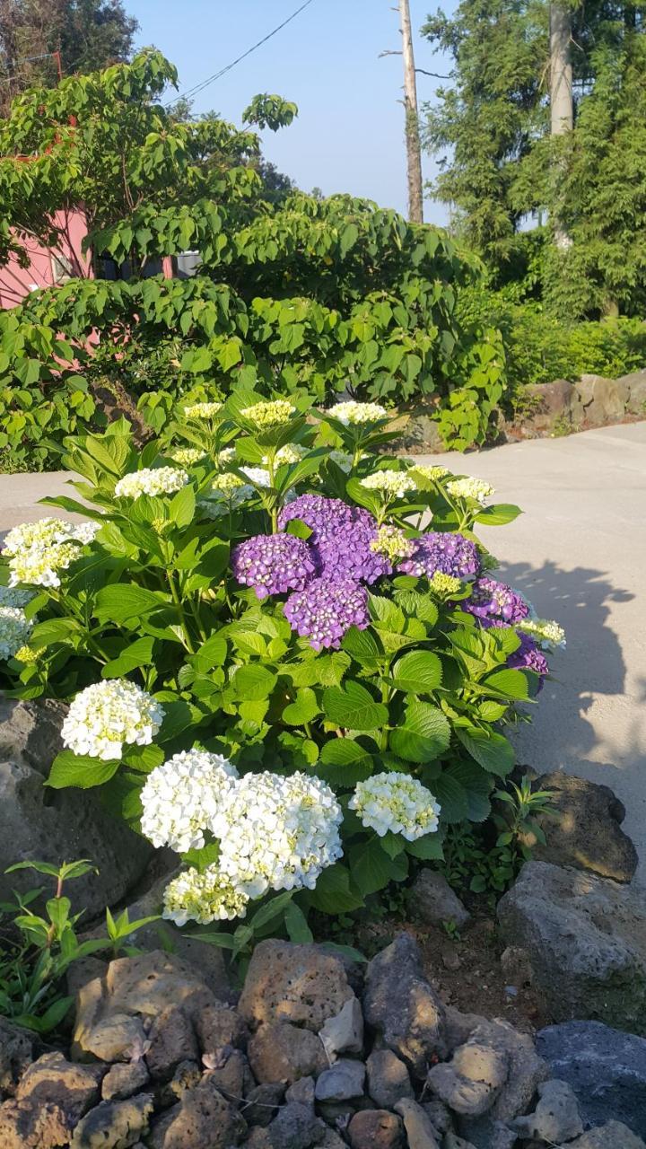 Jeju Mermuri Jeljedong Kültér fotó