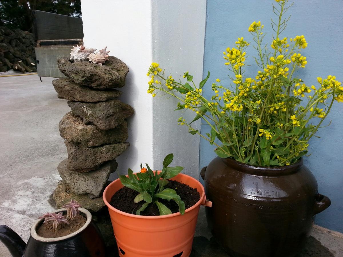 Jeju Mermuri Jeljedong Kültér fotó
