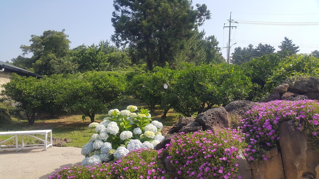 Jeju Mermuri Jeljedong Kültér fotó