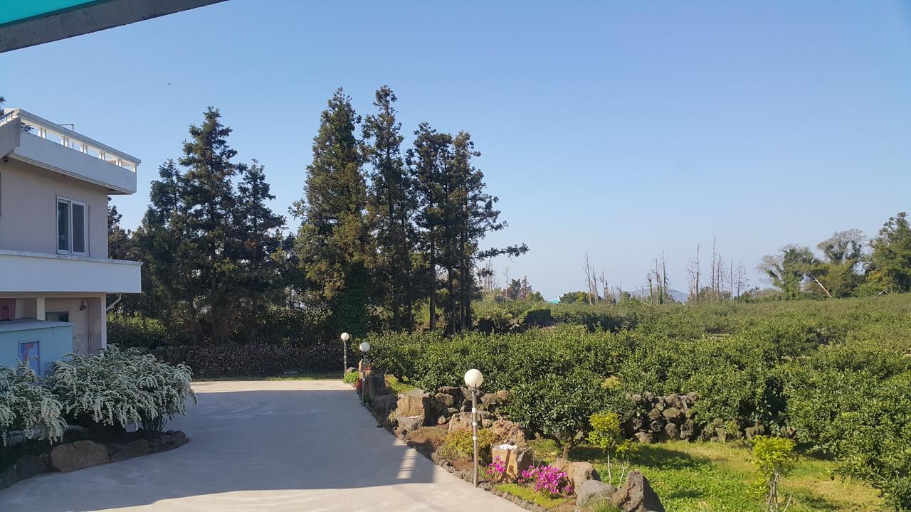 Jeju Mermuri Jeljedong Kültér fotó