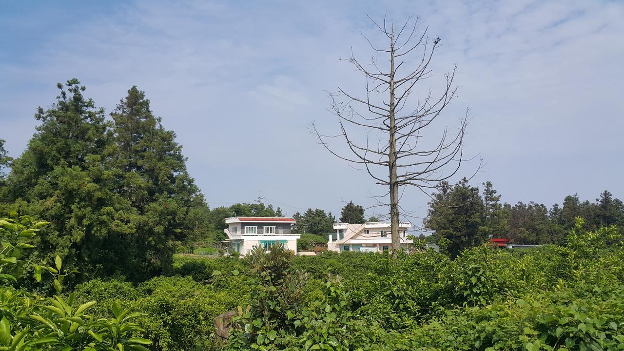 Jeju Mermuri Jeljedong Kültér fotó