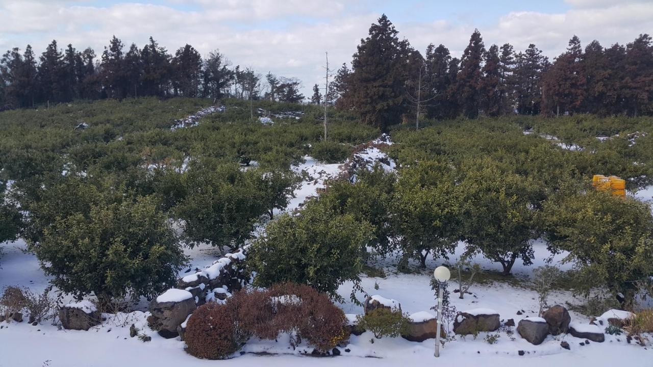 Jeju Mermuri Jeljedong Kültér fotó